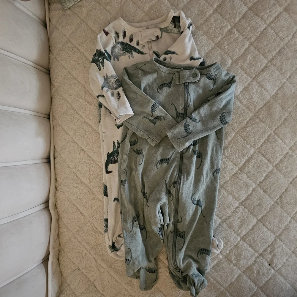 Dinosaur Print Baby Onesies Pair